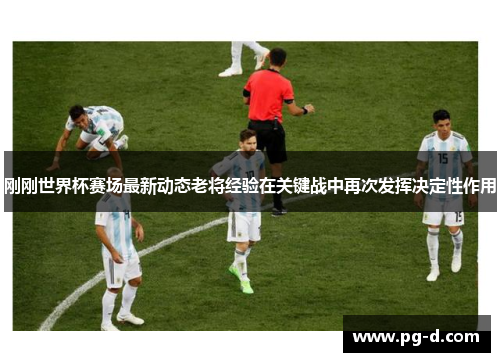 刚刚世界杯赛场最新动态老将经验在关键战中再次发挥决定性作用