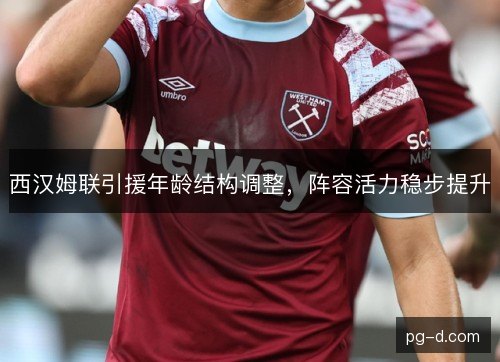 西汉姆联引援年龄结构调整，阵容活力稳步提升